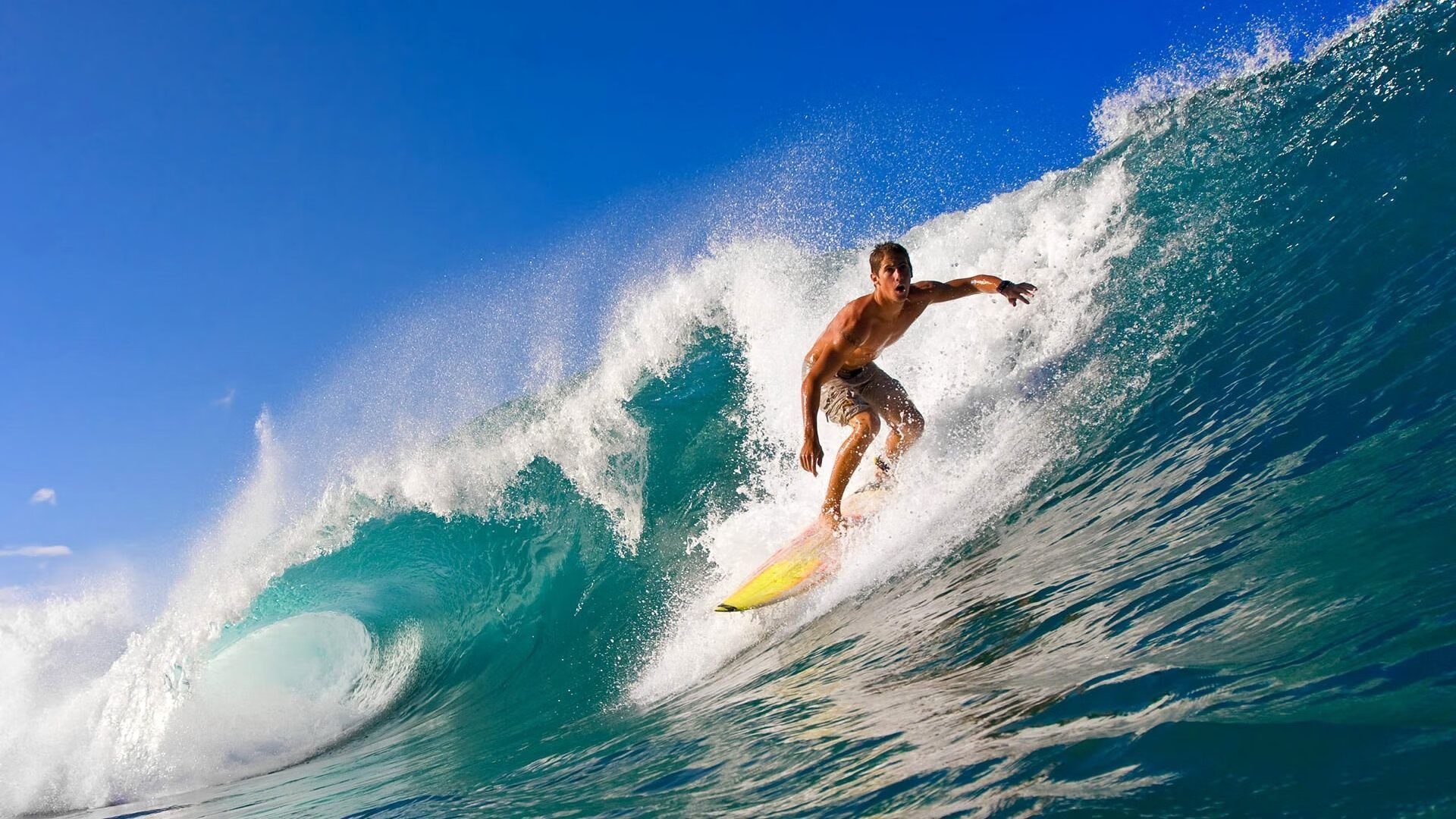 年輕球員表現出色，獲得關注和讚賞，年轻球队