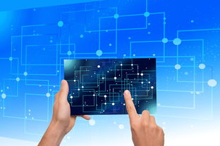 九游官网pc-NBA联盟品牌资产价值提升路径研究，nba联盟logo设计理念分析