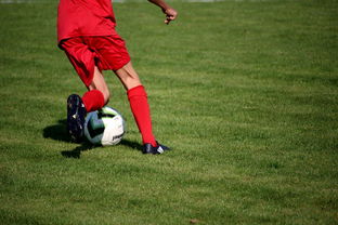 JiuyouAPP下载-意甲裁判语义辅助判罚系统提升比赛公平性研究，意甲裁判球衣赞助商